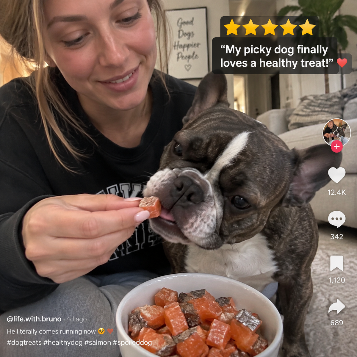 Premium Atlantic Salmon 🐟 Rich in Omega‑3 & Protein for Healthy Skin & Shiny Coats-8RH7